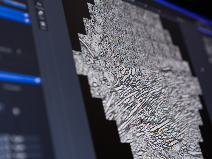 MultiSEM_software_screenshot.jpg